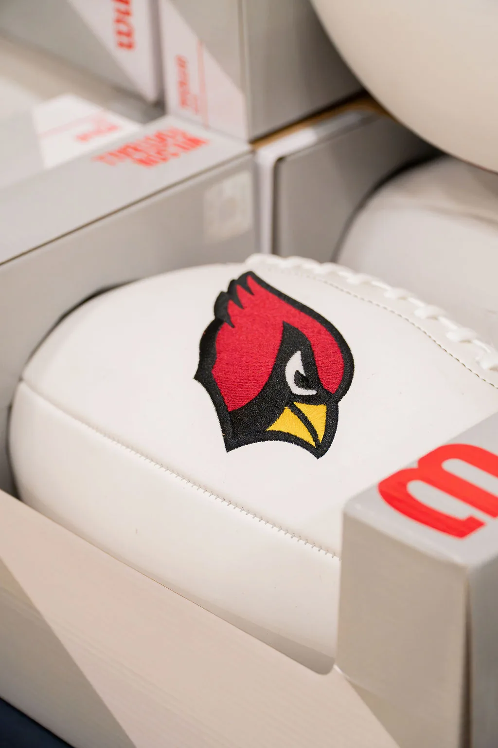 TheSmileZone health and wellness event in Casa Grande with the Arizona Cardinals — photo 11 of 77