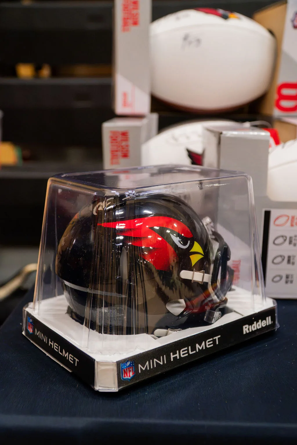 TheSmileZone health and wellness event in Casa Grande with the Arizona Cardinals — photo 57 of 77